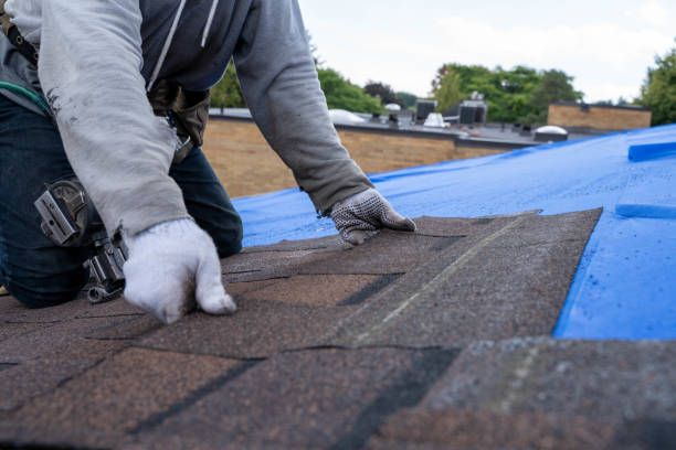 Quick and Trustworthy Emergency Roof Repair Services in Estero, FL