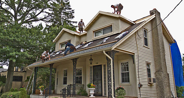 Best Metal Roofing Contractor  in Estero, FL